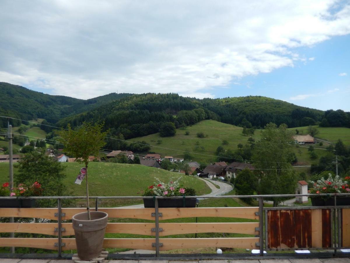 Hotel Landgasthof Zum Pflug Kleines Wiesental Exterior photo